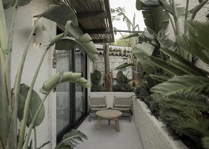 Wakana * 阿拉恰特